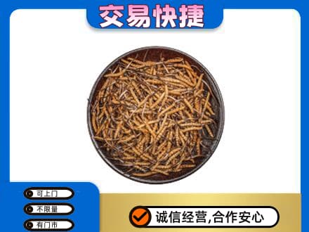 斗门区回收散虫草